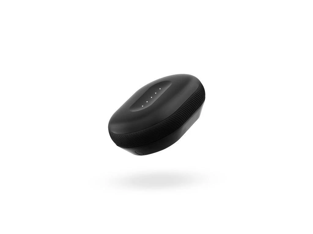 Miniatyr 1